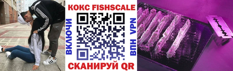 продажа наркотиков  Благовещенск  Кокаин FishScale 
