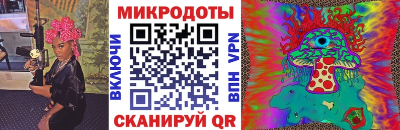 купить  сайты  Благовещенск  Псилоцибиновые грибы Psilocybe 