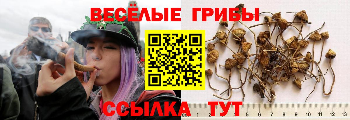 Галлюциногенные грибы Cubensis Благовещенск