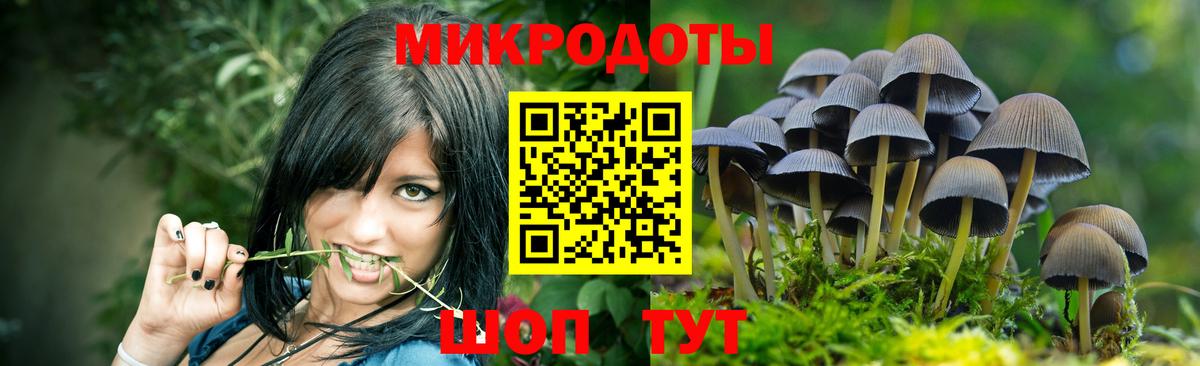 Псилоцибиновые грибы мицелий  купить закладку  Псилоцибиновые грибы Magic Shrooms  Благовещенск  Вход с VPN 